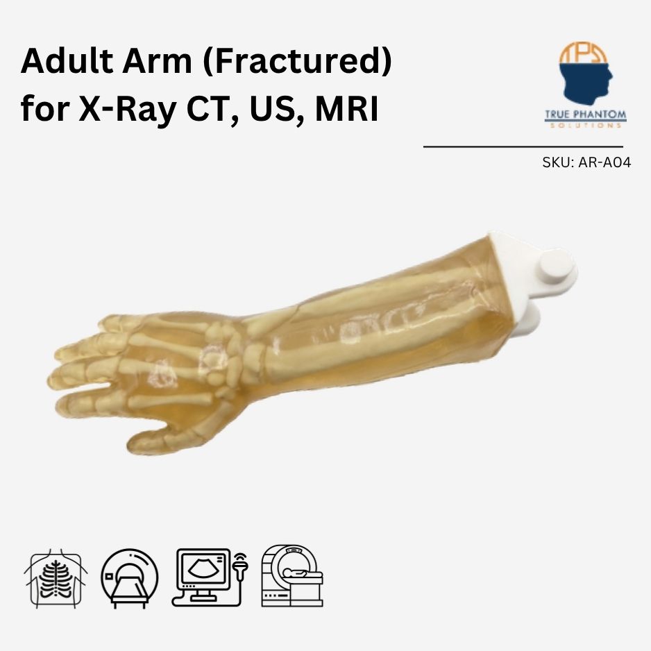Adult Arm (Fractured) for X-Ray CT, US, MRI