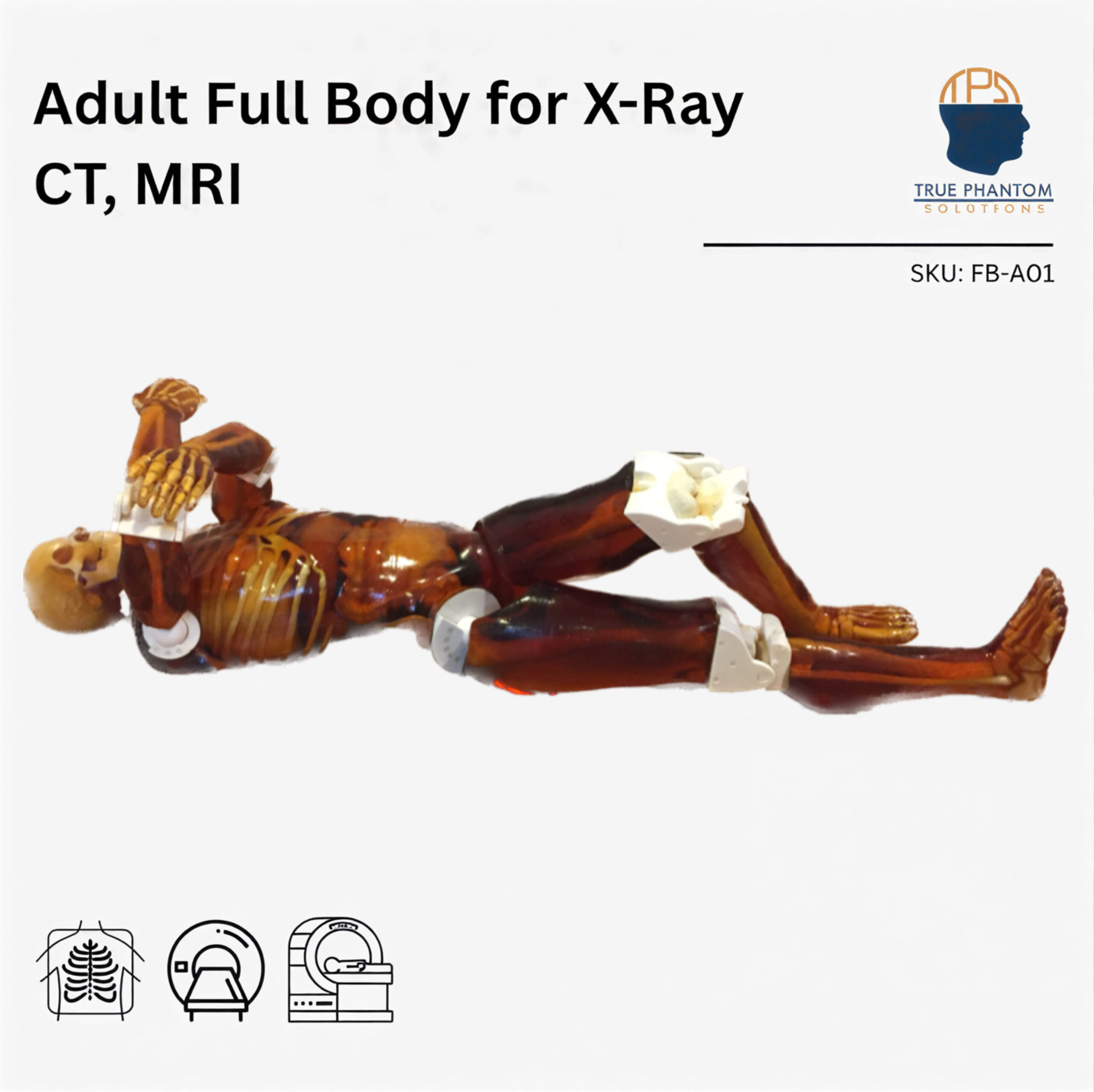 Adult Full Body for X-Ray CT, MRI