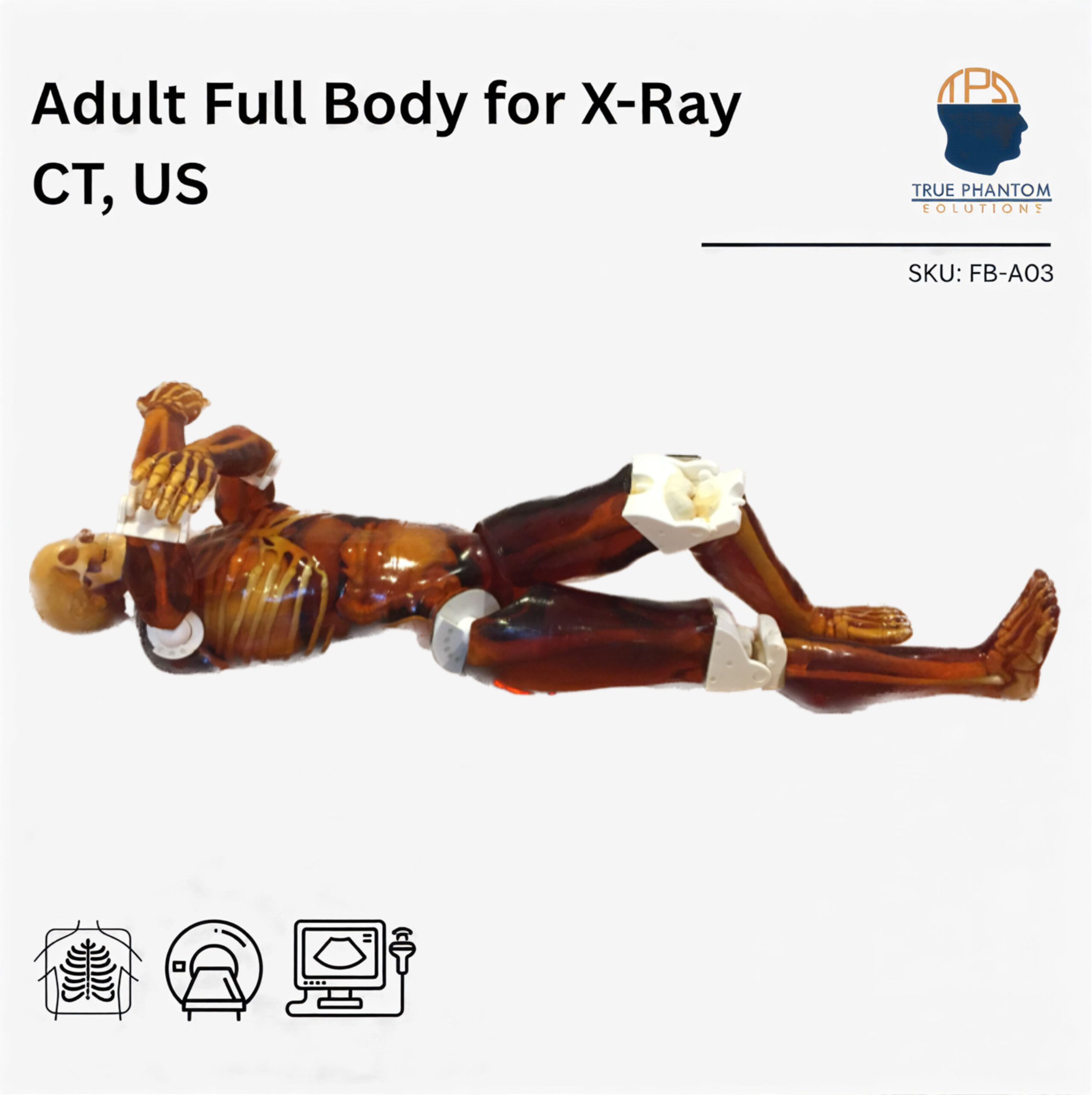 Adult Full Body for X-Ray CT, US