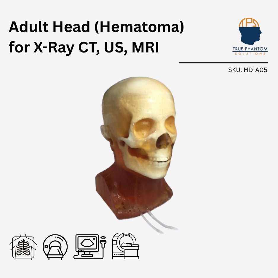 Adult Head (Hematoma) for X-Ray CT, US, MRI