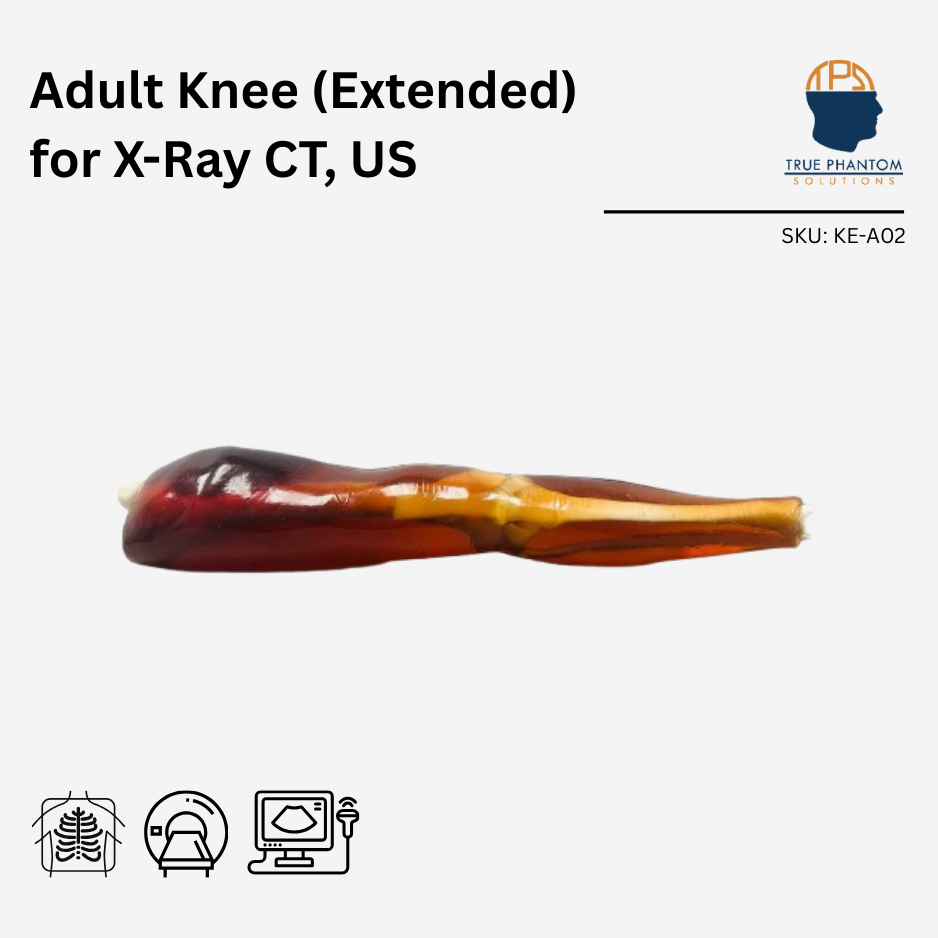 Adult Knee (Extended) for X-Ray CT, US