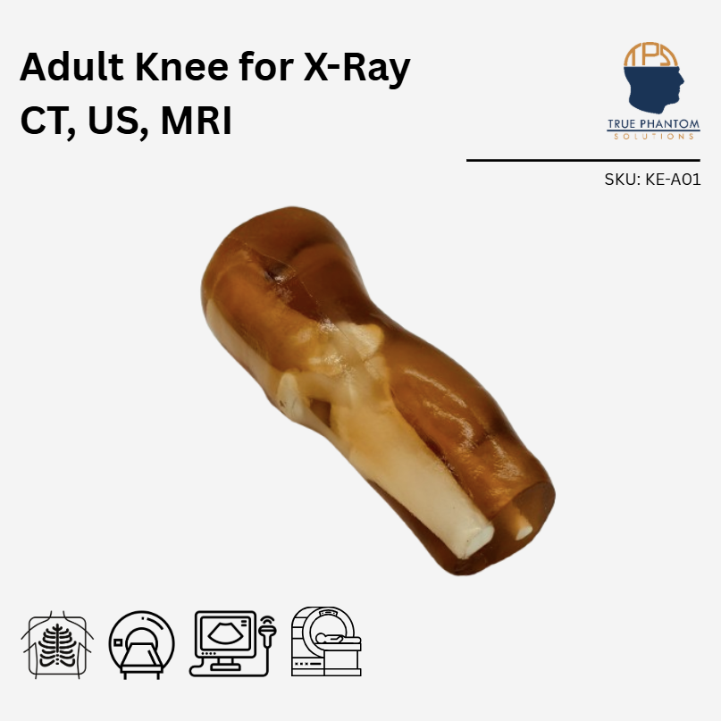 Adult Knee for X-Ray CT, US, MRI