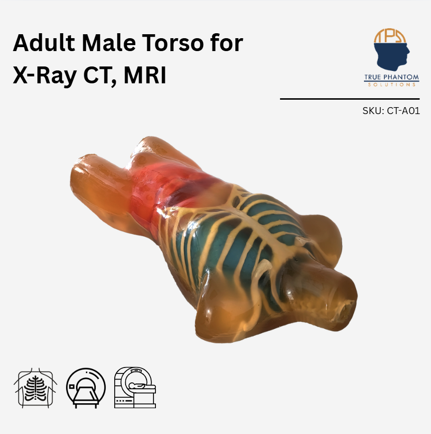 Adult Torso for X-Ray CT, MRI