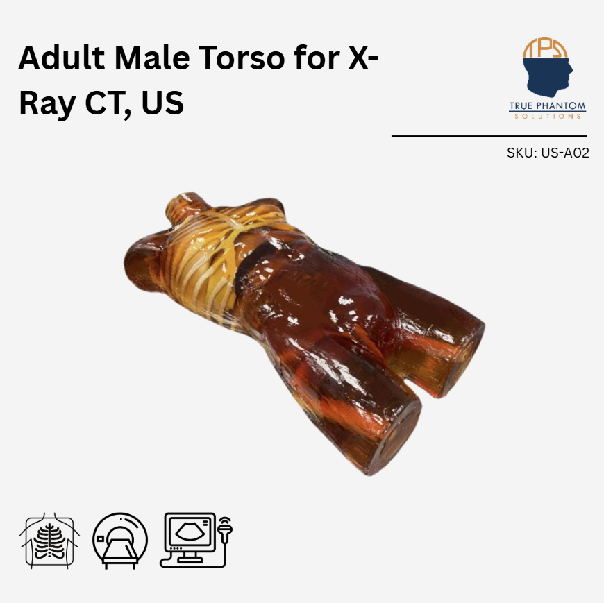 Adult Torso for X-Ray CT, US
