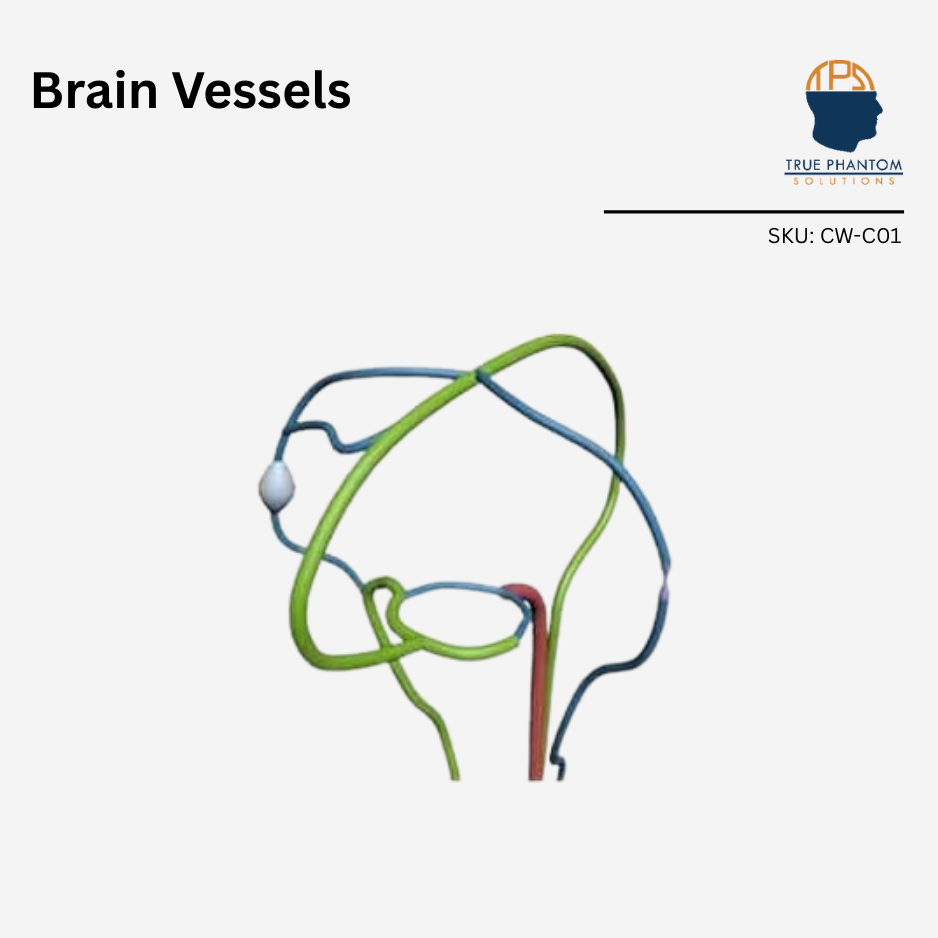 Brain Vessels