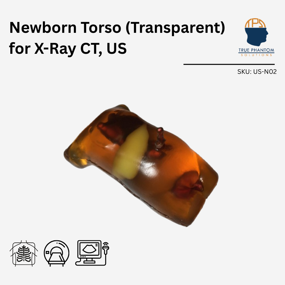 Newborn Torso (Transparent) for X-Ray CT, US