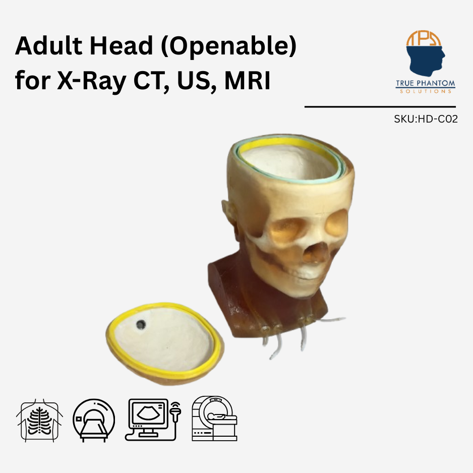 Adult Head (Openable) for X-Ray CT, US, MRI