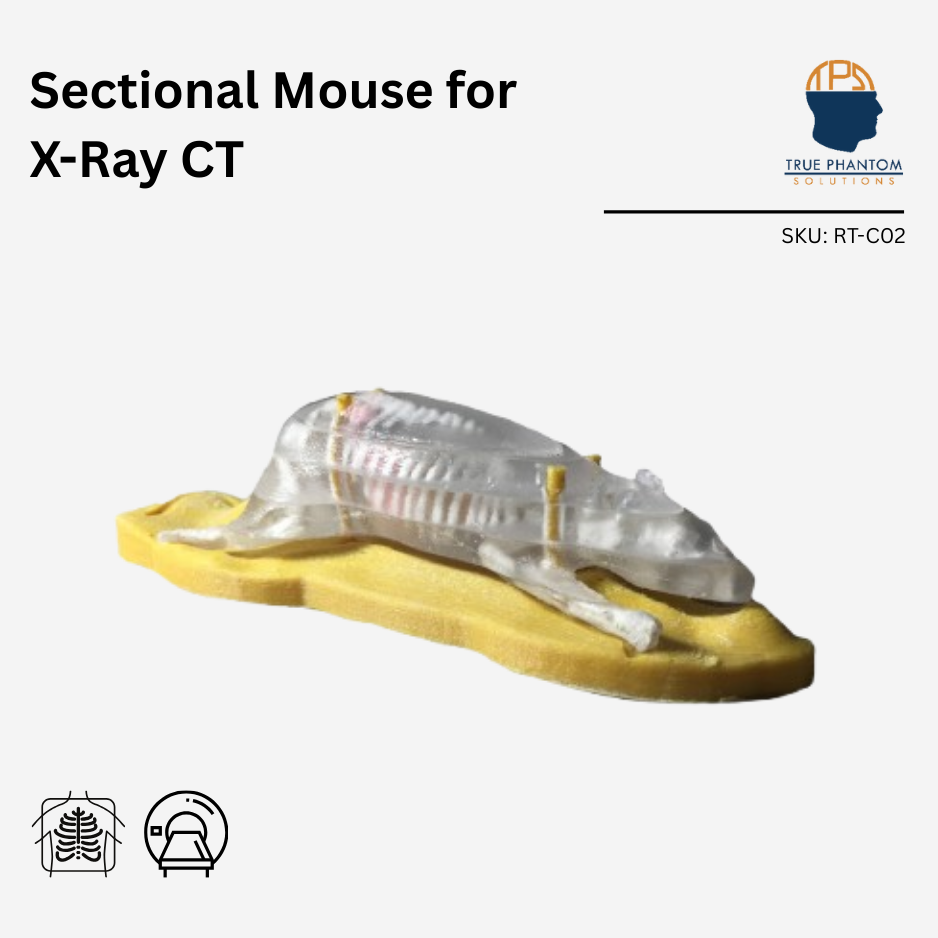 Sectional Mouse Phantom for X-Ray CT