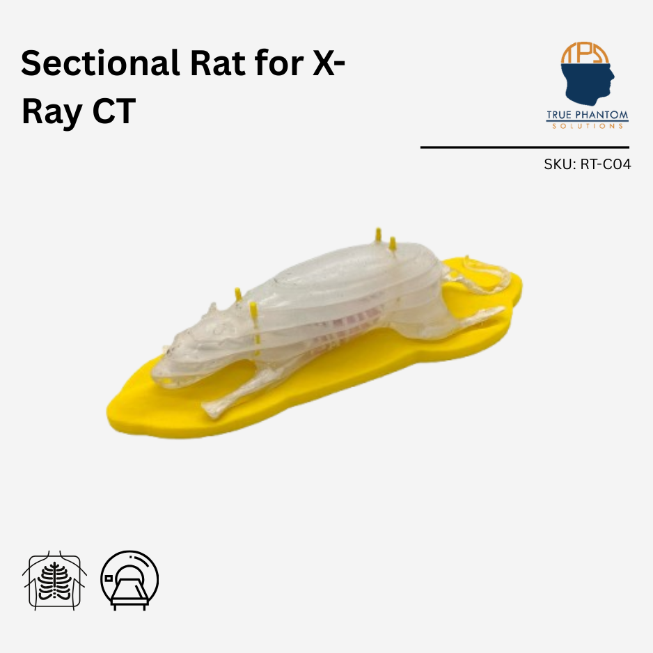 Sectional Rat Phantom for X-Ray CT
