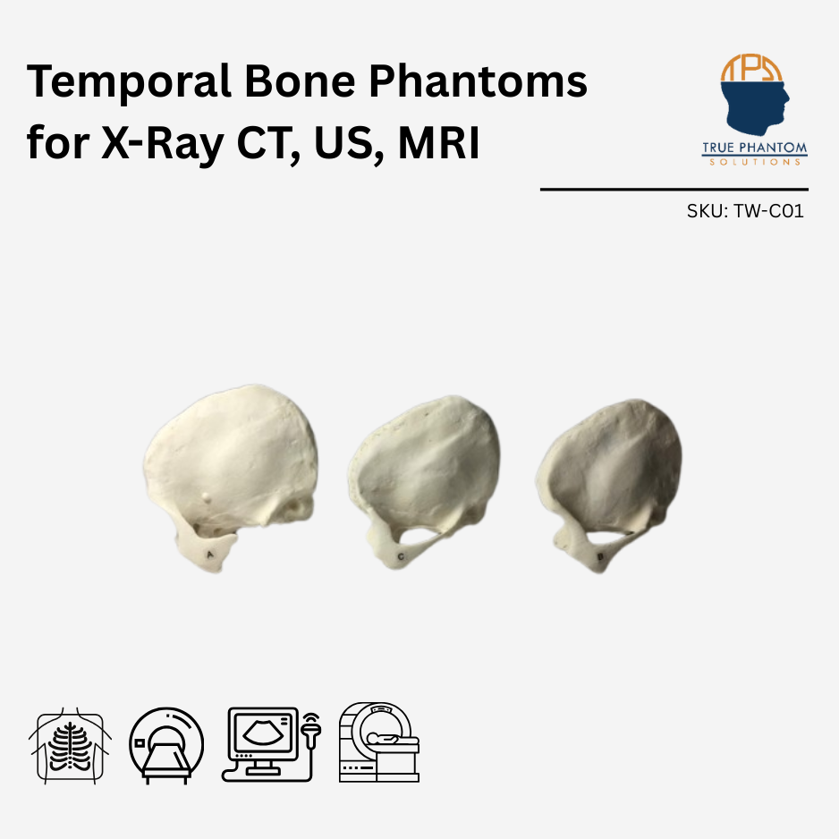 Temporal Bone Phantoms for X-Ray CT, US, MRI