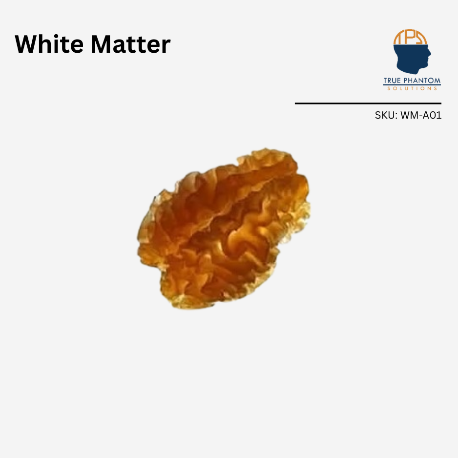 White Matter